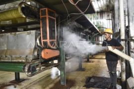 Wangi emas hijau dari kaki Gunung Kerinci Page 9 Small