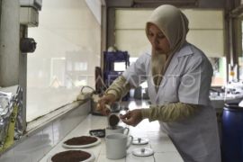 Wangi emas hijau dari kaki Gunung Kerinci Page 11 Small