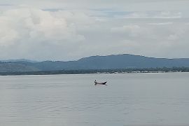 BPBD Jayapura imbau warga waspada dampak cuaca ekstrem