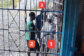 Satgas DC: Tim gabungan selidiki kasus penyerangan warga Dekai Yahukimo