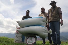 Bulog pastikan harga gabah panen gadu stabil