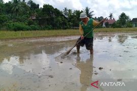 LEISA, langkah inovatif BI Kaltim wujudkan ketahanan pangan
