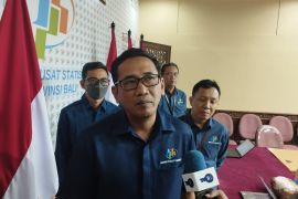 BPS Bali usul ke pemda jaga produktivitas pertanian dan luas lahan