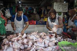Cabai rawit merah Rp50.115 per kg, daging ayam Rp38.458 Rabu ini