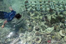 GIZ earmarks 20 mln euros for marine conservation