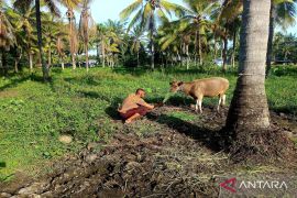 SPN Gorontalo: Program "Live In" tingkatkan kepedulian sosial anggota