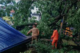 BPBD Jabar data bangunan terdampak cuaca ekstrem di Bandung