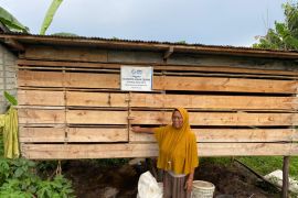 PLN berikan bantuan usaha kelompok peternakan ayam