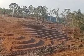 Terjunkan 18 alat berat, program cetak sawah baru oleh TNI Rejang Lebong capai 410 hektare