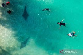 Medsos referensi utama  informasi liburan