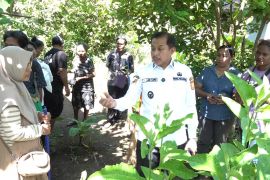 Pemkot Jayapura minta warga aktif membersihkan lingkungan sekitar