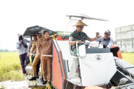 Pemkab Lamongan capai produksi padi tertinggi di Jatim lewat teknologi