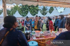 PLN jamin keandalan listrik dukung Festival Mama-mama Kreatif Manokwari