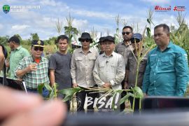 Pemkab Bulungan Kembangkan Kawasan Agrokompleks di Long Buang