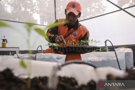 Pemkot Jaktim perkuat pangan lewat produk unggulan tiap kecamatan