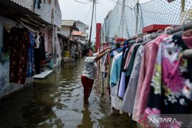 Warga di pesisir utara Tangerang diminta waspadai banjir rob