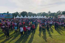 Pemprov gelar pemeriksaan kesehatan gratis sambut HUT Papua Selatan