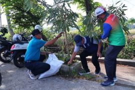 Wawako Payakumbuh pimpin apel bersama Hari Lingkungan Hidup Sedunia 2025