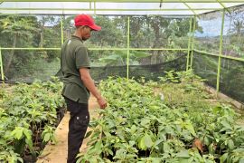 Ekonomi Lampung tumbuh solid di atas 5 persen di triwulan III