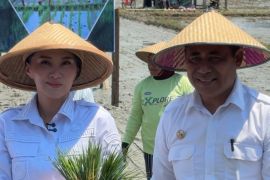 Kembangkan 1.000 Ha lahan sawah, Pemprov Malut jadikan Halmahera Timur lumbung pangan daerah