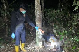 Warga Tanjung ditemukan tewas di kebun karet