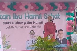 Pangkalpinang dorong gerakan ibu hamil sehat cegah stunting dan tekan angka kematian ibu