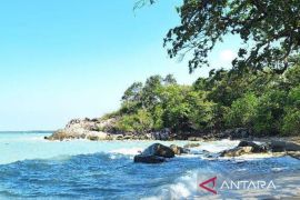 Bangka Belitung di persimpangan hijau