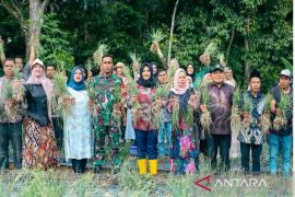 Wabup Atika ajak warga Madina wujudkan ketahanan pangan dari pekarangan rumah