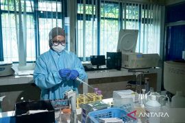 Kalsel gaet IPB uji albumin ikan haruan agar segera didistribusikan