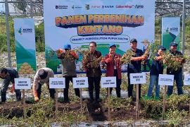 Pupuk Kaltim perluas program Agrosolution di Sembalun,