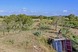 Bayang panjang di balik lahan Samota