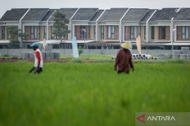 Pemerintah terus dorong perlindungan lahan pertanian dari alih fungsi