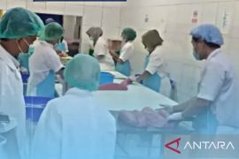 Badan Mutu KKP Maluku lakukan survelian dan uji kualitas tuna beku di UPI