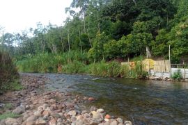 Kabupaten Sarolangun Jambi mengusulkan sembilan hutan adat baru