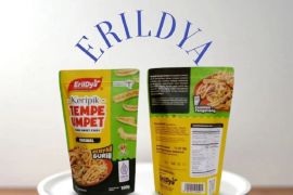 Sinergi Inovasi dan Tradisi: BRI Dukung Erildya Cemilan Family Tumbuh Menjadi UMKM Unggulan