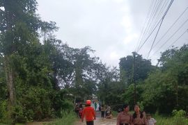 Enam kecamatan di Pandeglang Banten terdampak banjir