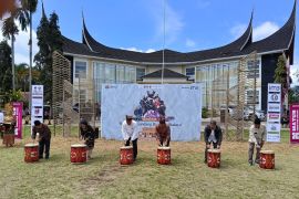 Pesona Tambua Tansa 2025 Bergema, Gubernur Mahyeldi Apresiasi Anak Muda Agam