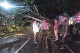 Jalur wisata Bagendit di Garut kembali normal seusai pohon tumbang