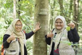 Kalsel kemarin dari  proyek pembangunan hingga PHBK