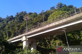 CD Greenpeace sebut perdagangan karbon sebagai pendanaan penyelamatan hutan