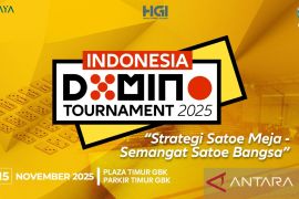 PORDI akan gelar turnamen domino perdana di Indonesia