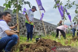 Pertamina dan Pemkot Batu tanam 1.000 pohon untuk lestarikan mata air