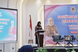 DP3AKB Kalsel tangani 544 korban kekerasan perempuan dan anak