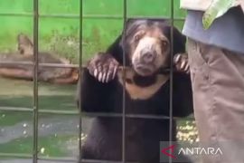 PPS Alobi bersama PT Timah rehabilitasi ratusan satwa langka