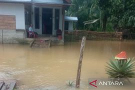 BPBD: Banjir rendam dua desa di Aceh Barat