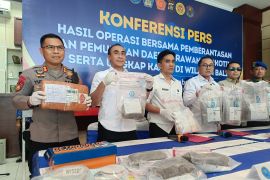 BNN ungkap peredaran 1 kg ganja libatkan karyawan laundry di Tuban