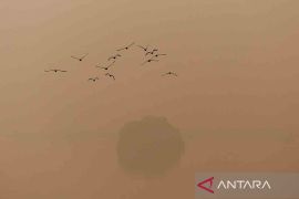 Polusi udara di New Delhi dan Karachi