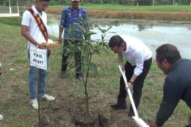 PKK Tanjabtim - BWSS VI Jambi tanam pohon jaga keseimbangan alam