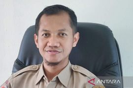 Bangka Barat optimalkan peran kader posyandu layani warga