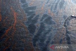 Nelayan korban Montara tuntut kompensasi Rp900 triliun